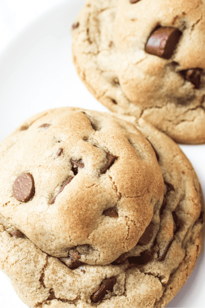 gourmet chocolate chip cookies recipe